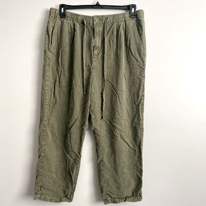 AE Ankle Pants